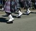 How Sport Kilts Boost Team Spirit: The Impact of Uniforms in Sports