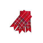 Royal Stewart Kilt Flashes