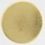 Color swatch image
