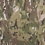 Color swatch image
